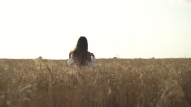 Gün batımında buğday tarlasında uzun kumral dalgalı saçlı seksi genç kadın. Güzel bayan yürürken hafif elbisesini çıkarıyor.