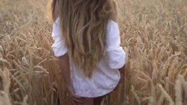 Gün batımında buğday tarlasında yürürken günlük tarz beyaz elbiseler giyen genç bir kadın. Altın sonsuz tarlaya düşen güneş ışınları.