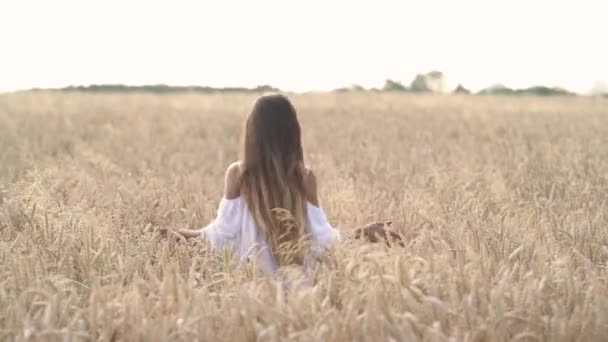 Młoda Kobieta Pięknymi Włosami Biegająca Polu Pszenicy Zachodzie Słońca Dotyka — Wideo stockowe