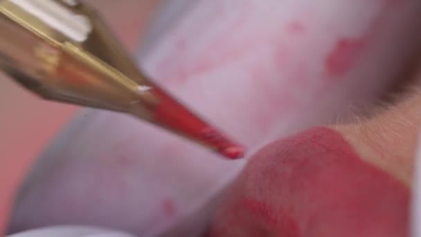 Close Cosmetologistas Mão Segurando Esponja Algodão Para Secar Lábios Cliente — Vídeo de Stock