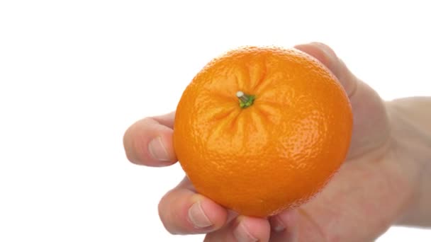 Gros Plan Main Masculine Tenant Tordant Mandarin Mûr Agrumes Doux — Video