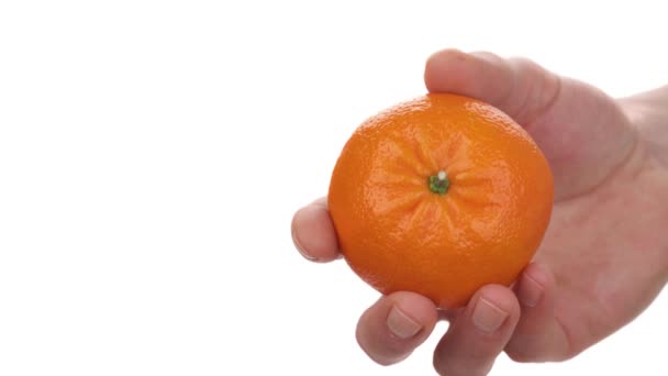 Nahaufnahme Einer Männlichen Hand Die Eine Abgeschnittene Scheibe Reife Mandarine — Stockvideo