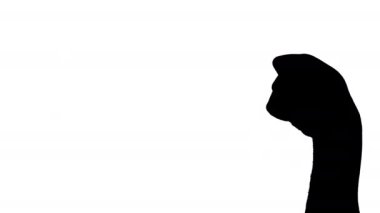 Hey You el işareti. Bir elin silueti işaret parmağıyla sağı gösteriyor.