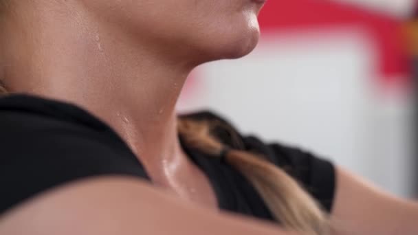 Close Portrait Shot Female Boxer Break Training Sweaty Professional Sportswoman — Stock Video