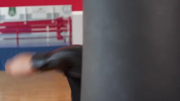 专心致志的拳击手训练拳击袋 职业体育运动中的体力劳动 — 图库视频影像