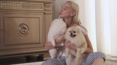 Güzel bir kadın evde sevimli Pomeranya köpekleriyle eğleniyor. İnsanlar ve hayvanlar kavramı