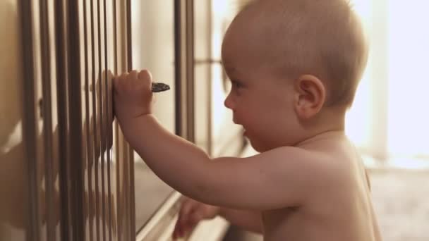 Det Dagliga Livet För Charmig Liten Pojke Ett Litet Barn — Stockvideo