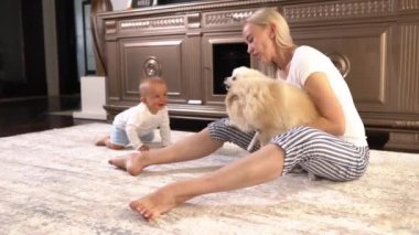 Neşeli anne odada iki Pomeranya köpeğiyle oynarken küçük oğlu sürünerek onlara gidiyor. Mutlu aile kavramı