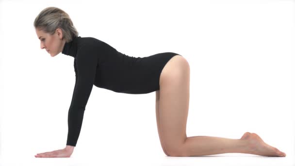 Joven Mujer Atractiva Practicando Yoga Haciendo Asana Emparejada Posada Bitilasana — Vídeo de stock