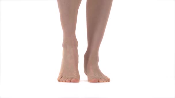 암컷의 가느다란 아름다운 다리는 발뒤꿈치부터 발끝까지 아름다운 다리를 클로즈업하는 바탕에 — 비디오