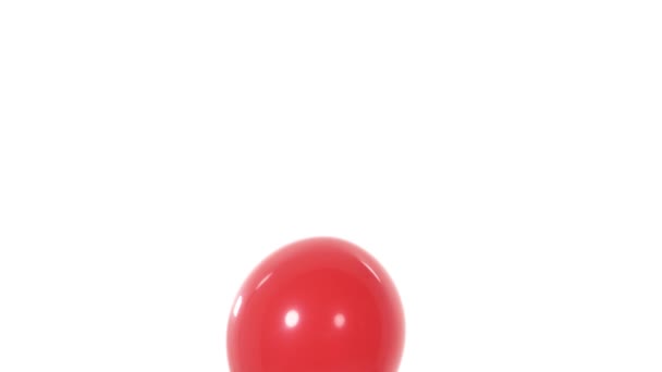 红色气球飞了上来 膨胀的气球 在白色背景下孤立无援 — 图库视频影像