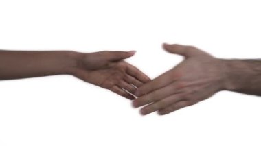 İki çok ırklı insanın elini sıkmak. Kadın ve erkek el sıkışıyor. Eşitlik kavramı. Beyazda izole edilmiş