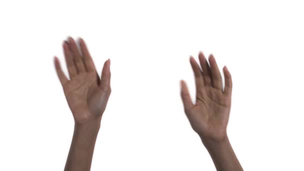 Close Dança Mãos Femininas Mp4Ements Rítmicos Isolado Fundo Branco Duas — Vídeo de Stock