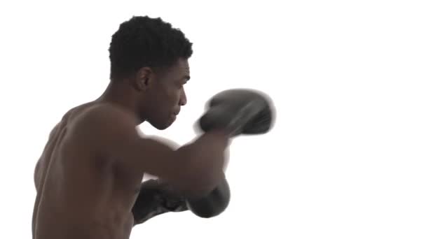 Oldalnézet Egy Fiatal Félmeztelen Afro Amerikai Sportoló Boksz Kesztyű Képzés — Stock videók