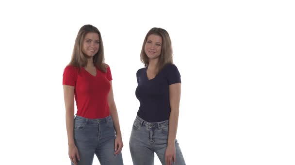 Retrato Irmãs Gêmeas Caucasianas Vestindo Jeans Camiseta Vermelha Preta Posando — Vídeo de Stock