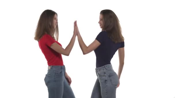 Portrait Caucasian Twin Sisters Slapping Palms High Five Hand Gesture — Stock Video