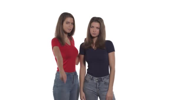 Porträtt Vita Tvillingsystrar Kvinnan Svart Shirt Pekar Kameran Berättar Något — Stockvideo