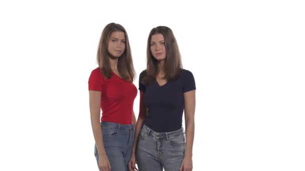 Young Caucasian Twin Sisters Showing Key Sign Approving Hand Gesture — Stock Video