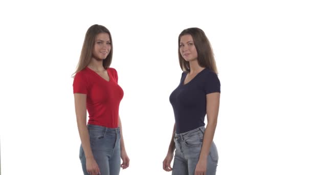 Sorrindo Irmãs Gêmeas Caucasianas Fazendo Juntos Gesto Coração Mão Sinal — Vídeo de Stock