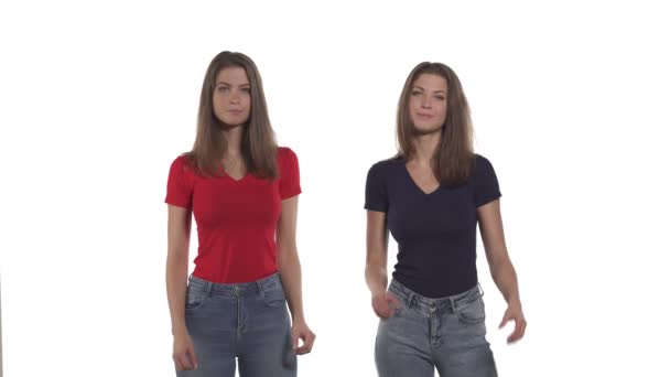 Porträtt Vita Tvillingsystrar Som Formar Hjärtat Med Fingrar Ett Tecken — Stockvideo