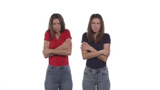 Retrato Irmãs Gêmeas Caucasianas Esfregando Seus Braços Ombros Expressando Frio — Vídeo de Stock