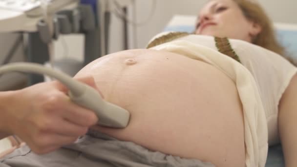 妊娠中の女性のクローズアップは 彼女の超音波検査を持っています 超音波検査による腹部超音波検査を行う医師 — ストック動画