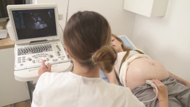 超音波検査を行いながら 医師は彼女の妊娠中の患者と通信 超音波検査による医療検査 高角度表示 — ストック動画