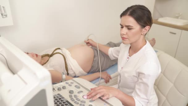 妊娠中の患者の診察中に超音波検査機のモニターを注意深く見る専門の産科医の側面図 — ストック動画