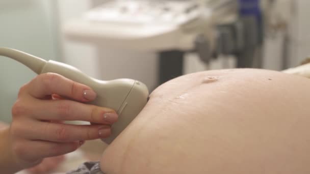 妊婦さんの超音波検査まで超音波検査をしながら超音波検査を行う婦人科医手のクローズアップ 早産医 — ストック動画