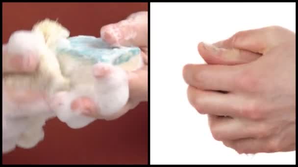 Koláž Ženy Která Myje Houbu Myje Ruce Vodou Přirozený Koncept — Stock video