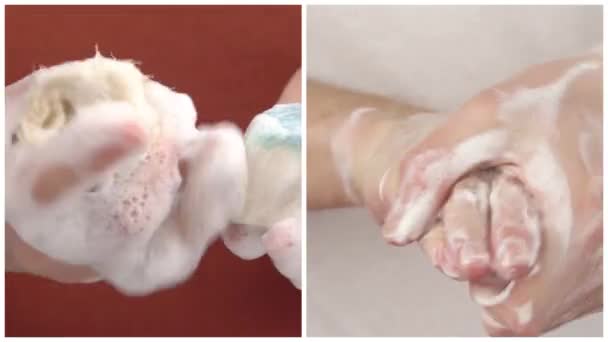 Donna Lava Mani Con Sapone Antibatterico Fatto Mano Prevenzione Contro — Video Stock