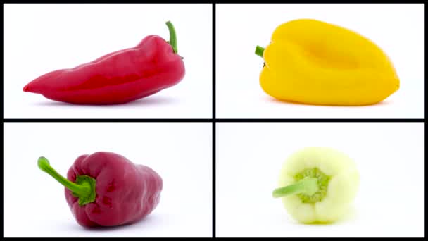 Koláž Různými Živými Barvami Zralé Zvonek Chilli Papričky Izolované Bílém — Stock video