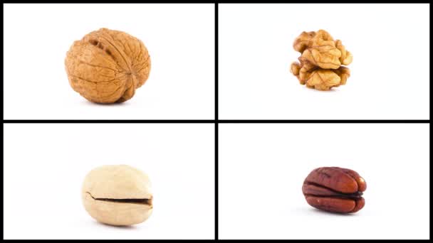Collage Rotating Peeled Shelled Nuts Close Pecans Walnuts Isolated White — Stock Video