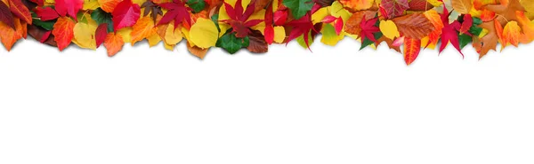 色とりどりの葉を持つ装飾的な秋の背景バナーコピースペース — ストック写真