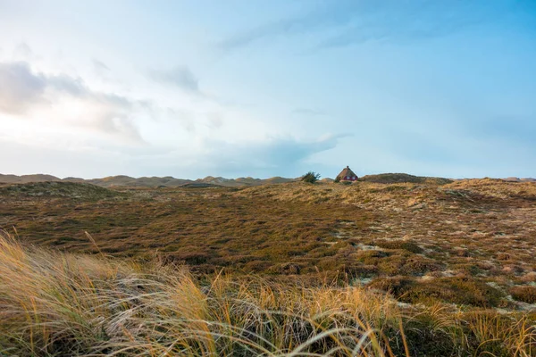 丹麦日德兰市Nymindegab附近的沙丘上有茅草屋顶的与世隔绝的房子 冬季有石南草和马兰草 — 图库照片#
