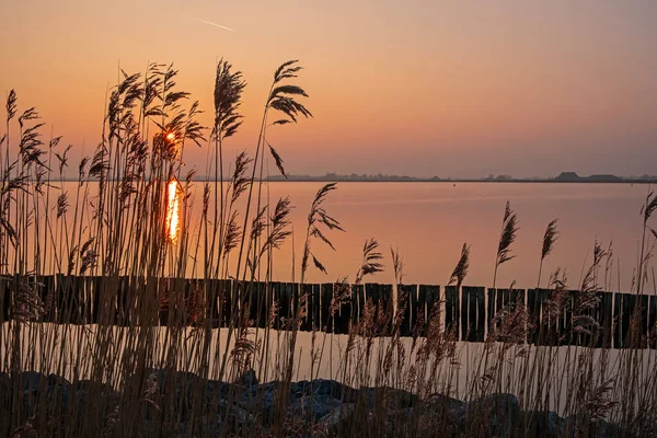 Sunset Countryside Friesland Netherlands — Zdjęcie stockowe