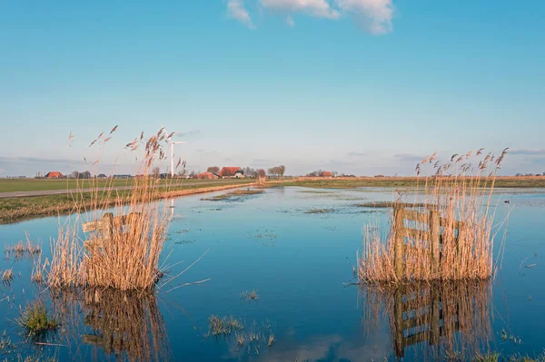 Деревянные Ворота Марранской Травой Воде Сельской Местности Фрисландии Нидерландах — стоковое фото