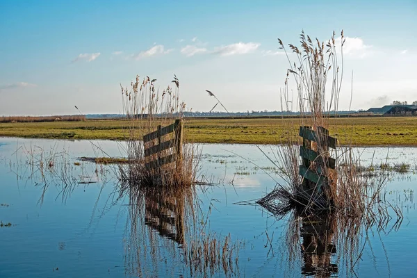 Portail Bois Avec Herbe Marraine Dans Eau Campagne Frise Aux — Photo