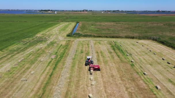 Aerial Harvesting Hay Countryside Friesland Netherlands — Stock Video