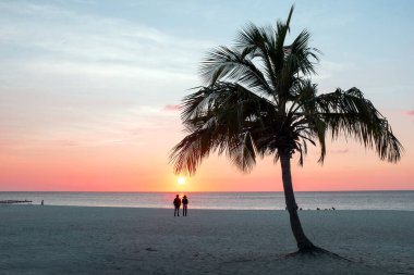 Eagle Beach Karayipler deki Aruba Island günbatımı