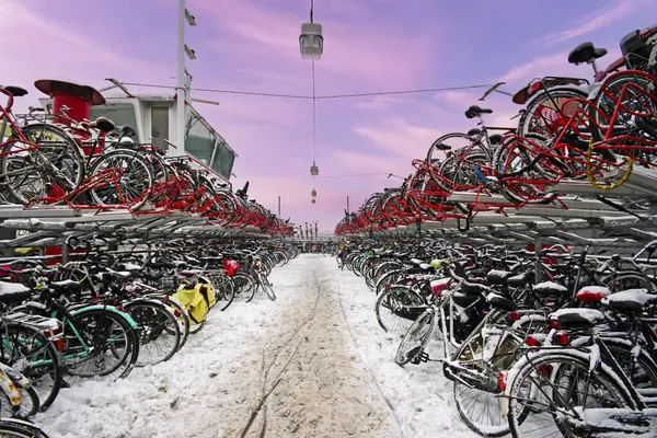Bicycles Snow Amsterdam Netherlands — Stock Photo, Image
