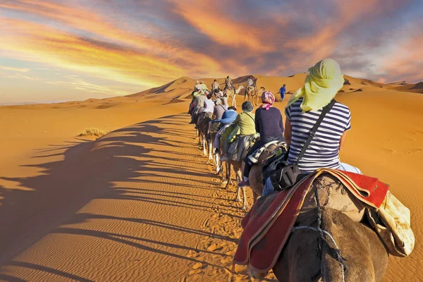 Camel Caravan Going Sand Dunes Sahara Desert Morocco — Stock Photo, Image
