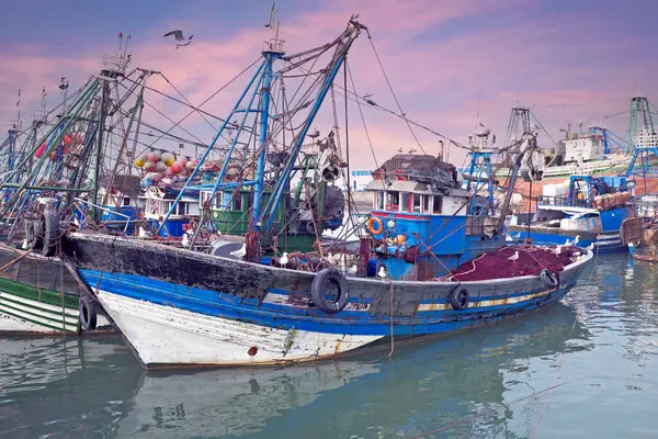 Barcos Pesca Porto Essaouria Essaouria Cidade Costeira Atlântica Mais Popular Imagens De Bancos De Imagens Sem Royalties