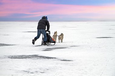 Gün batımında Hollanda 'da Gouwzee' de kızak sürmek.