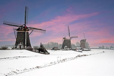 Hollanda kırsalındaki tarihi yel değirmenleri gün batımında