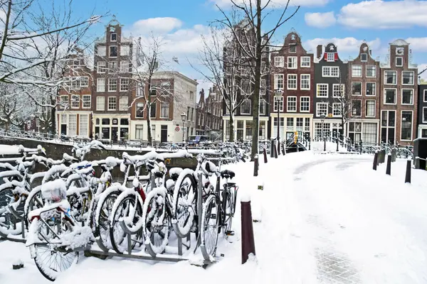 Hollanda Karlı Amsterdam Telifsiz Stok Imajlar