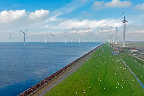 Antenne Von Windkraftanlagen Ijsselmeer Den Niederlanden Mit Schafen Auf Dem Stockbild