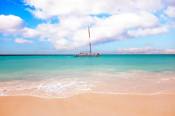 Катамаран Карибському Морі Острові Аруба Ліцензійні Стокові Зображення