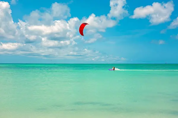 Karayip Denizi Ndeki Aruba Adasındaki Palm Beach Uçurtma Sörfü - Stok İmaj