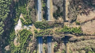Hollanda Avrupa 'daki Veluwe' de A28 karayolunda Ecoduct Hulshorst.